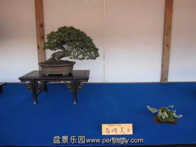 psb (68).jpg