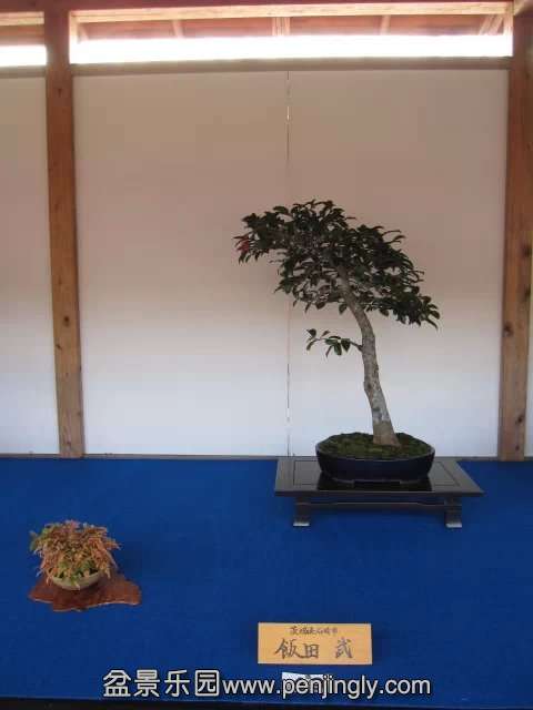 psb (69).jpg