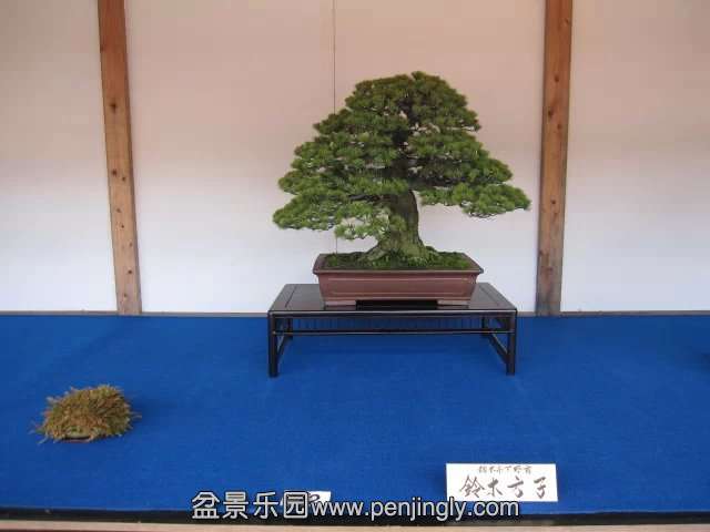 psb (72).jpg