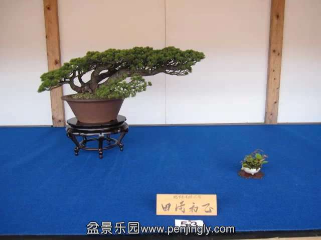 psb (73).jpg
