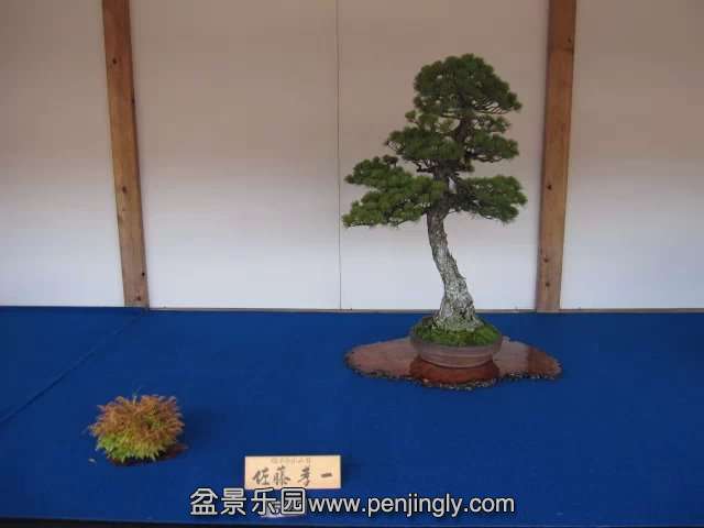 psb (78).jpg