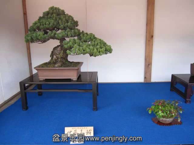 psb (81).jpg