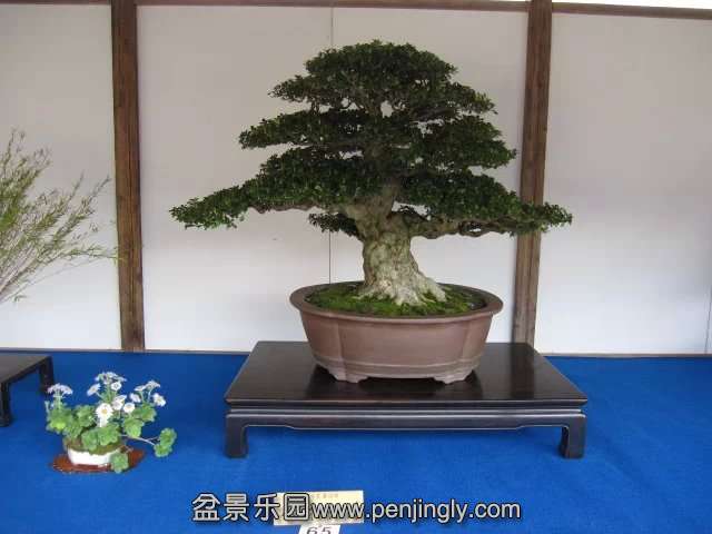 psb (86).jpg