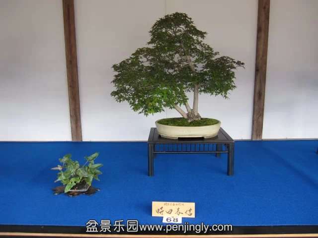 psb (89).jpg