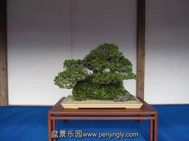psb (94).jpg