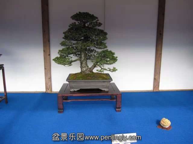 psb (97).jpg