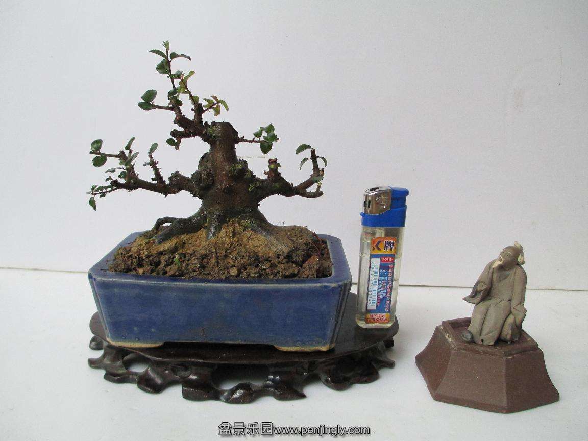 Ƭ 1023.jpg