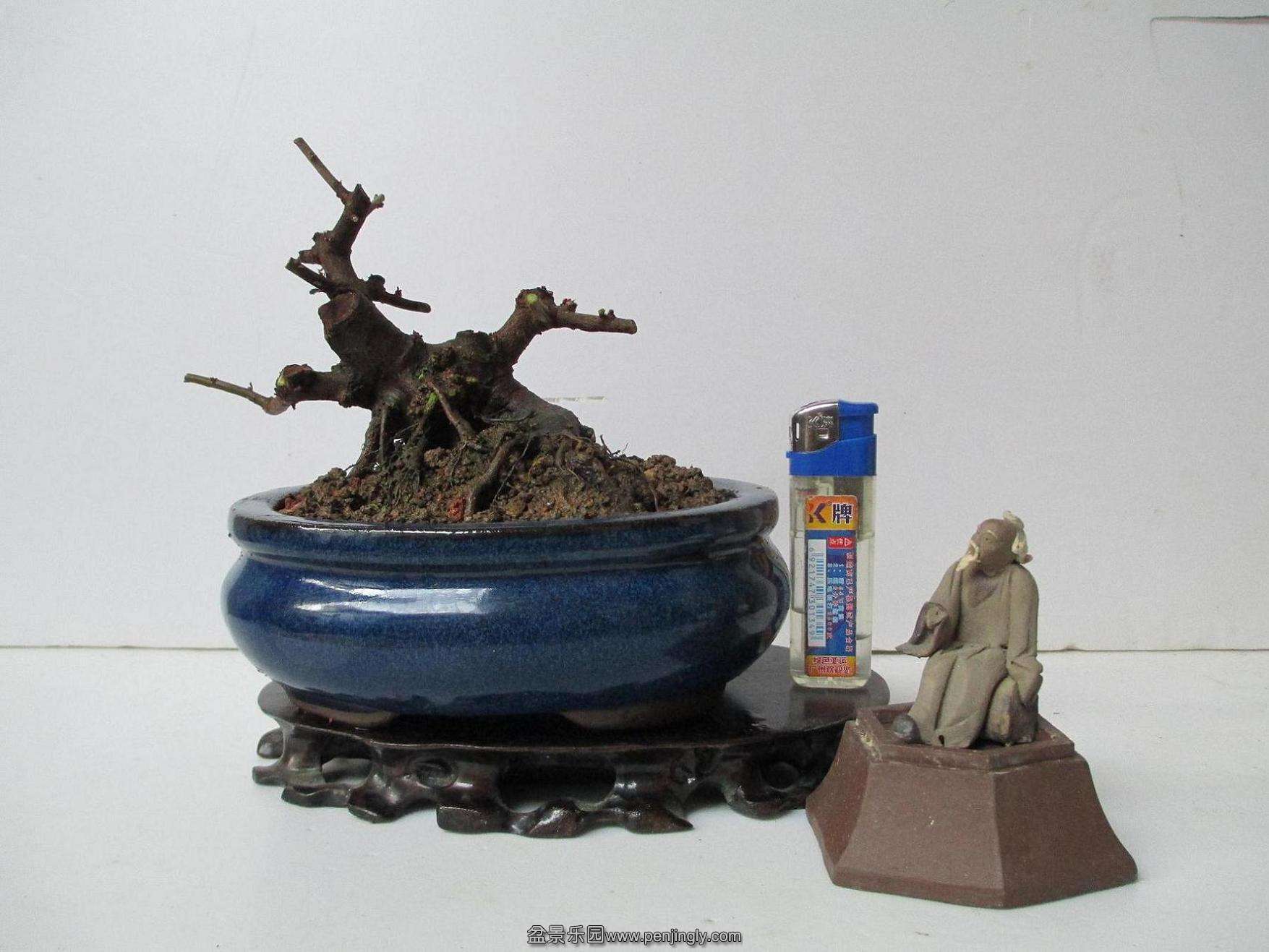 Ƭ 1029.jpg