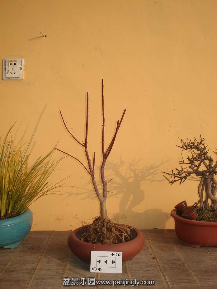 DSC01282.JPG