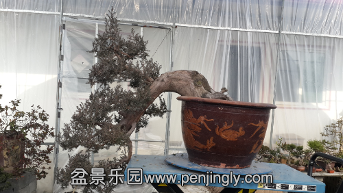20141230_122456.jpg