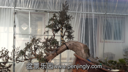 20141230_141658.jpg