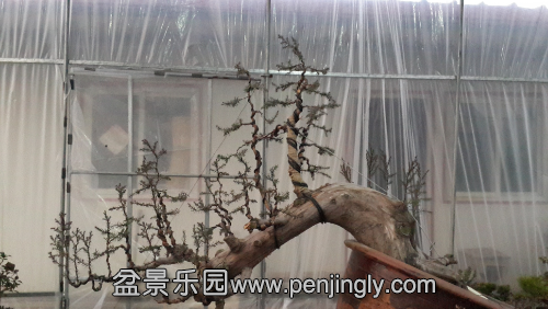 20141230_173248.jpg