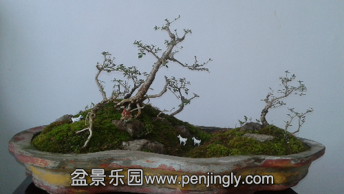 20141230_152805.jpg