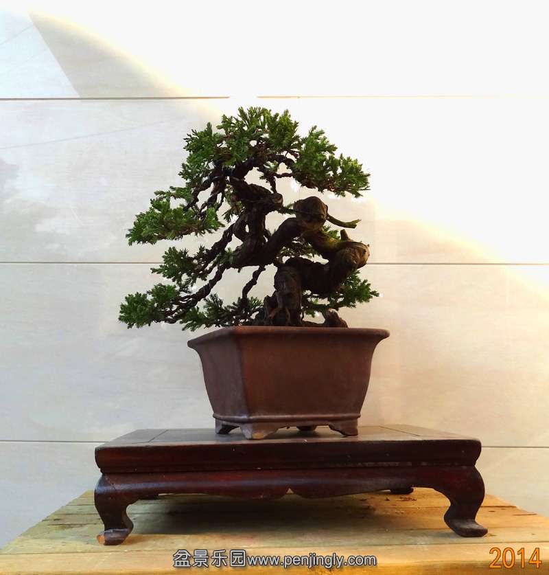 ���02 ����.jpg