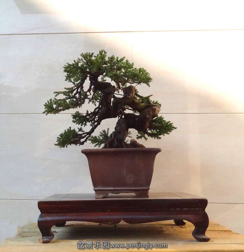 ���01 ����.jpg