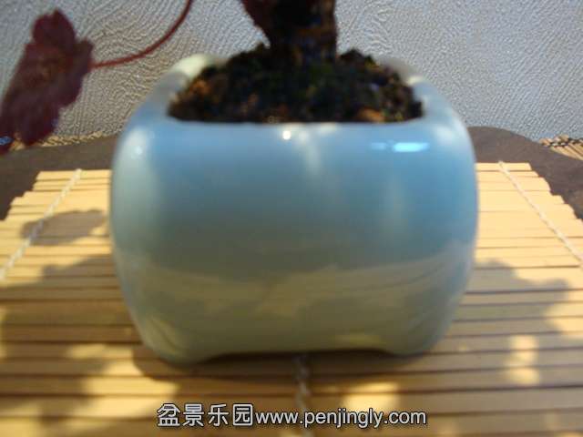 DSC09782.JPG