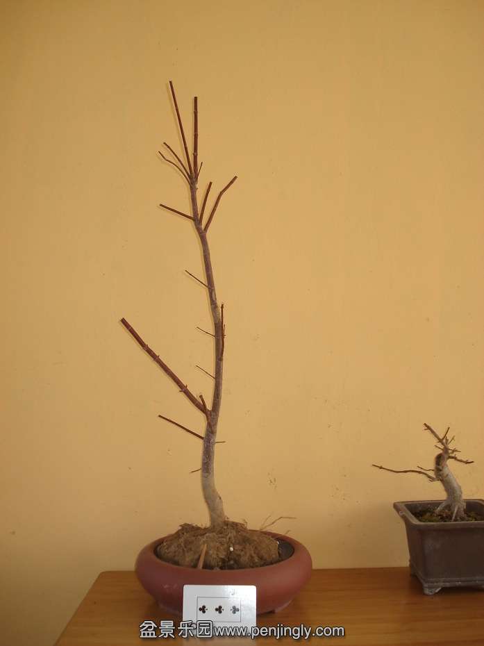 DSC01297.JPG