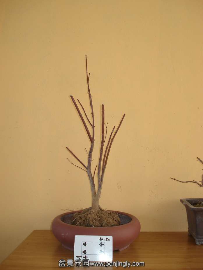 DSC01298.JPG