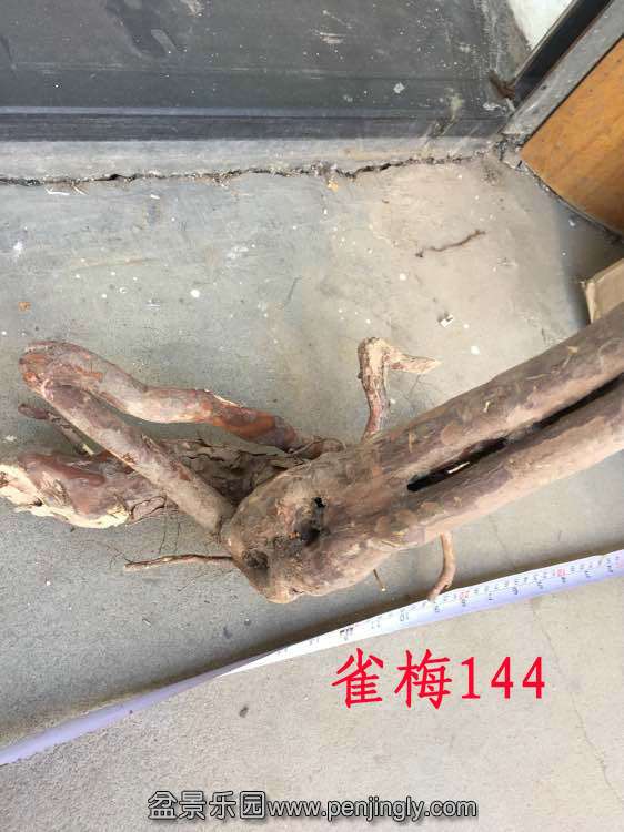a660dc0a304e251f8523a259a486c9177e3e530b.jpg