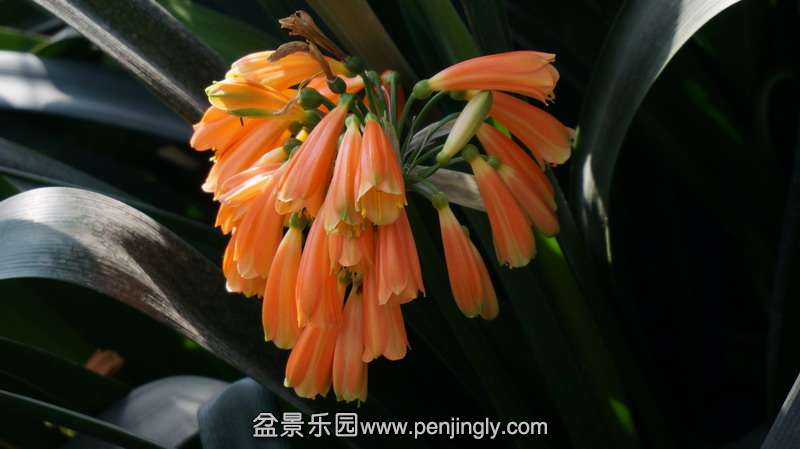DSC01900.JPG