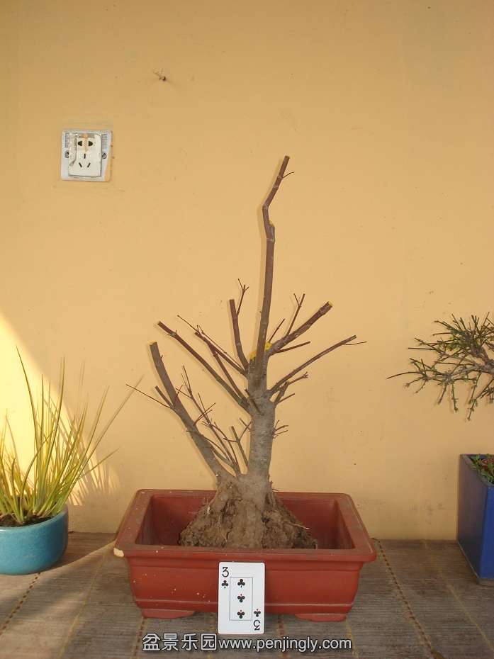 DSC01324.JPG