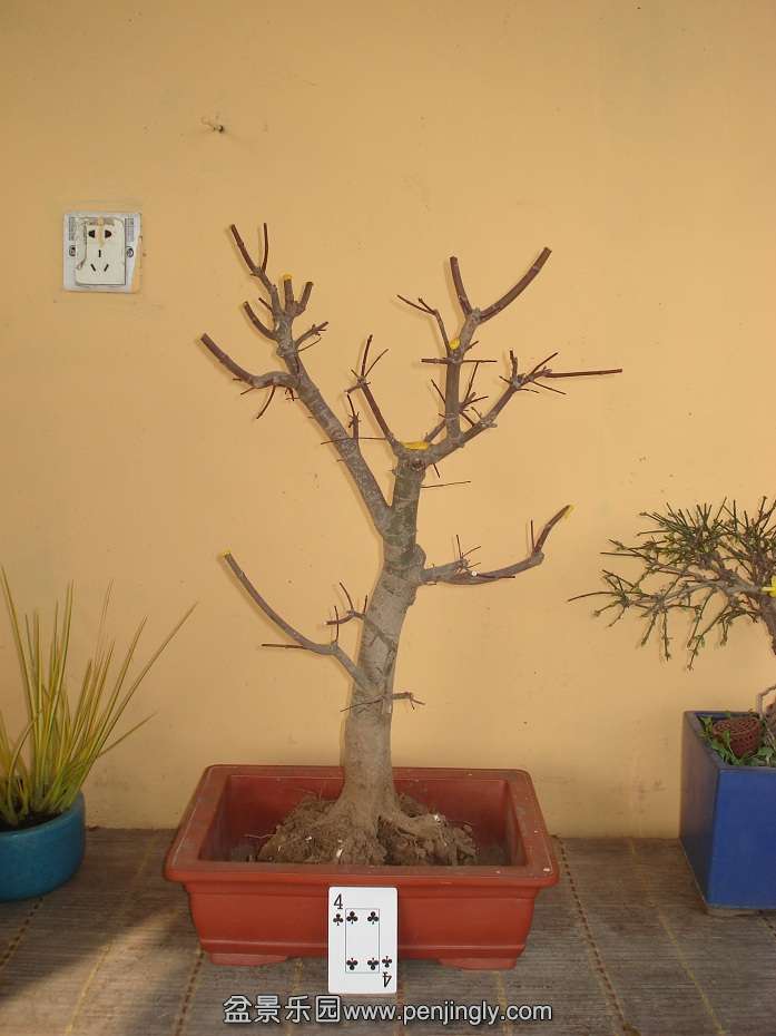 DSC01327.JPG
