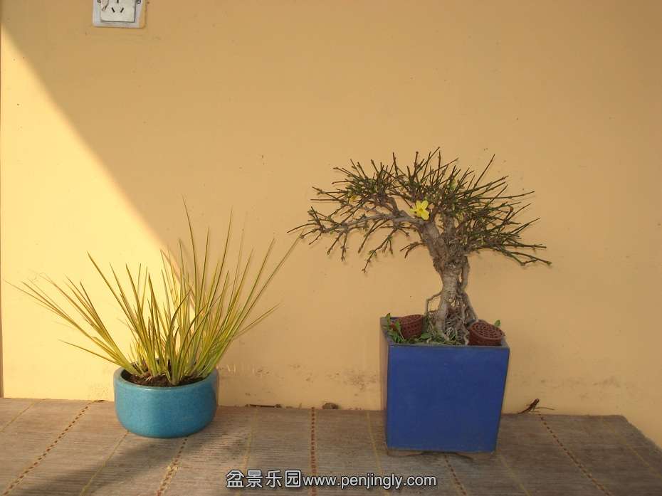 DSC01330.JPG