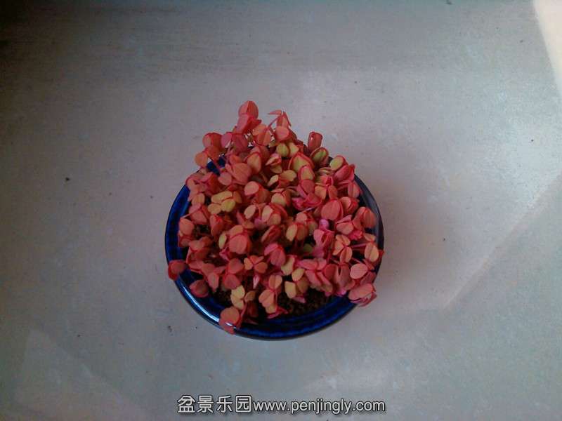 IMG_20141231_100752_.jpg
