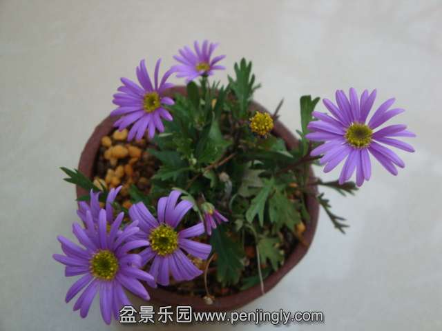 DSC09804.JPG