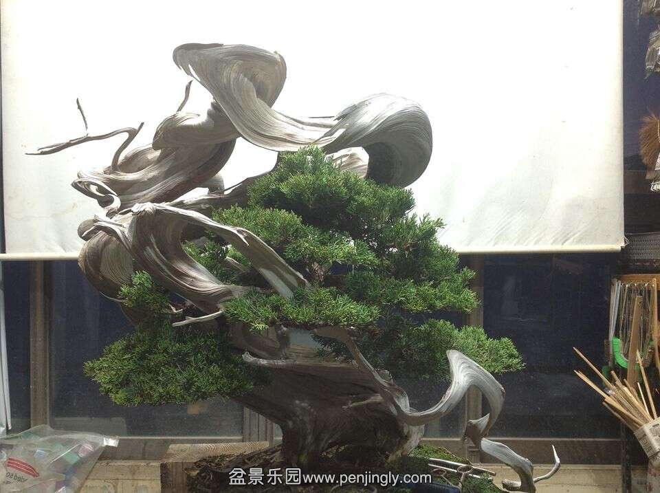 QQͼƬ20141231220008.jpg