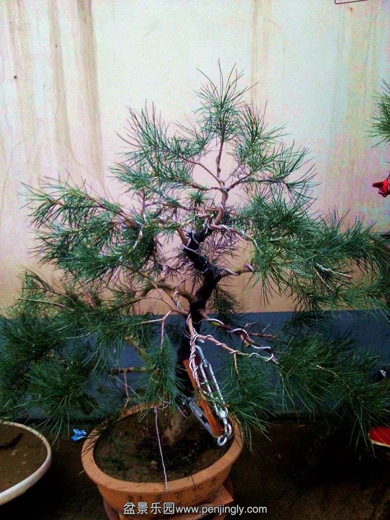 20150103_171743.jpg
