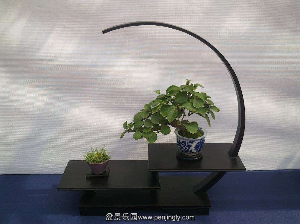 ͼ39.jpg