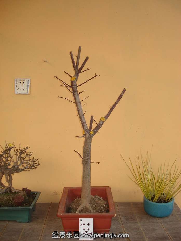 DSC01346.JPG