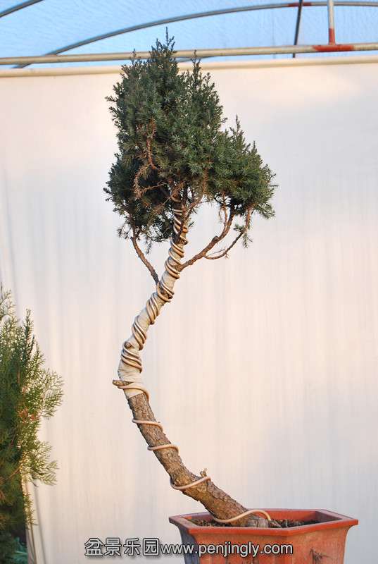 1Ʒ