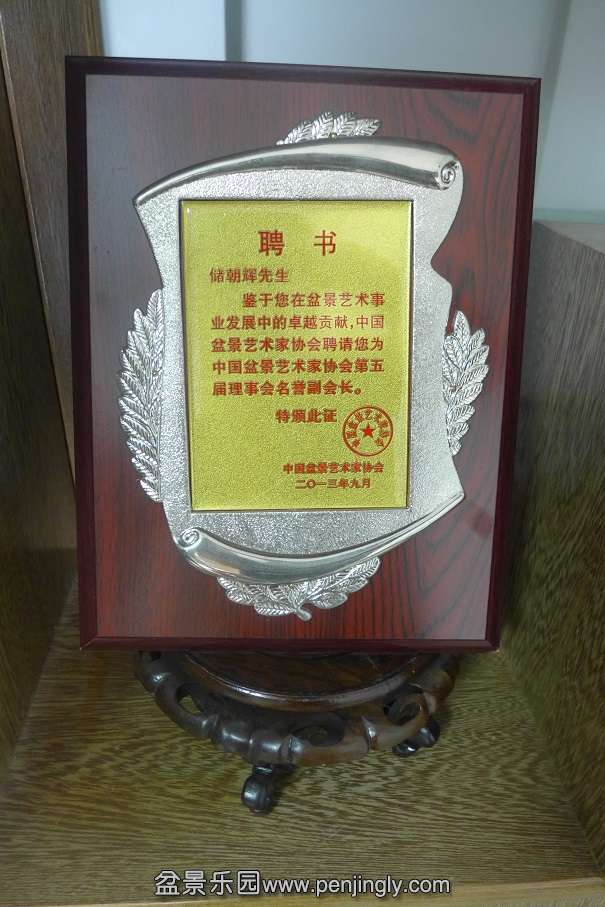P1030478.JPG