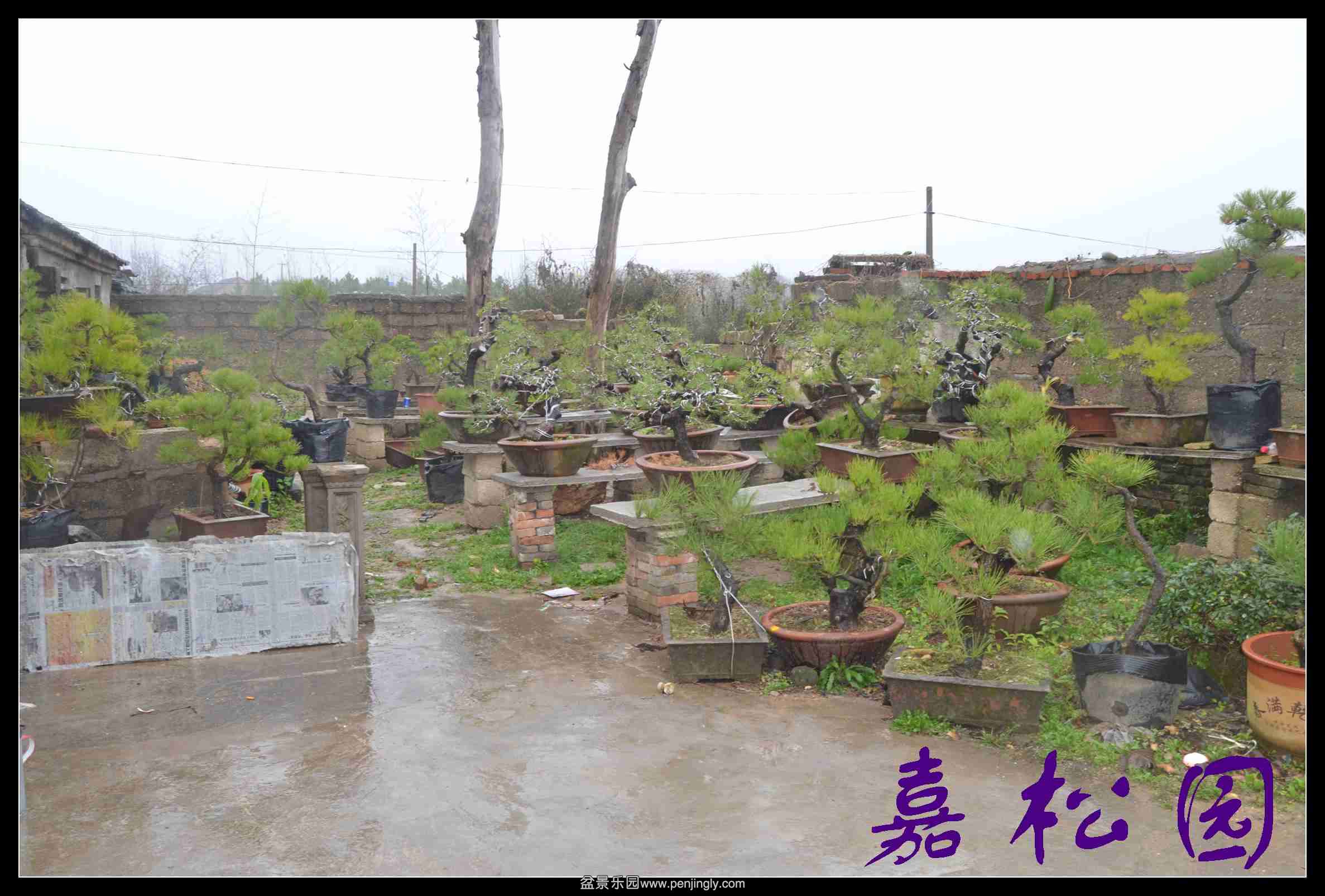 ���ͺ����辰 049.JPG