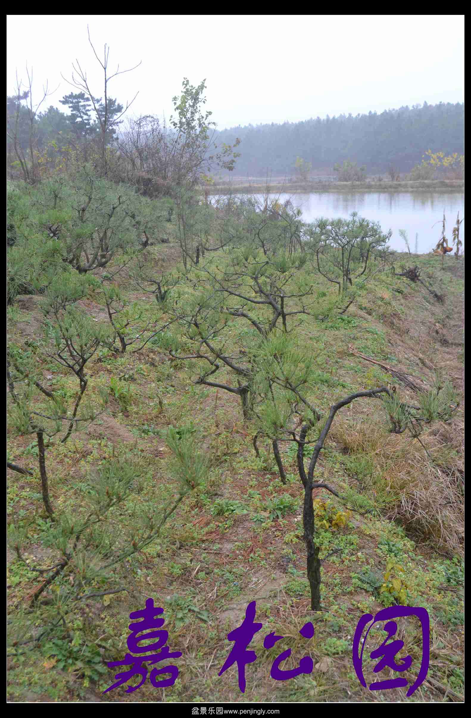 ���ͺ����辰 063.JPG