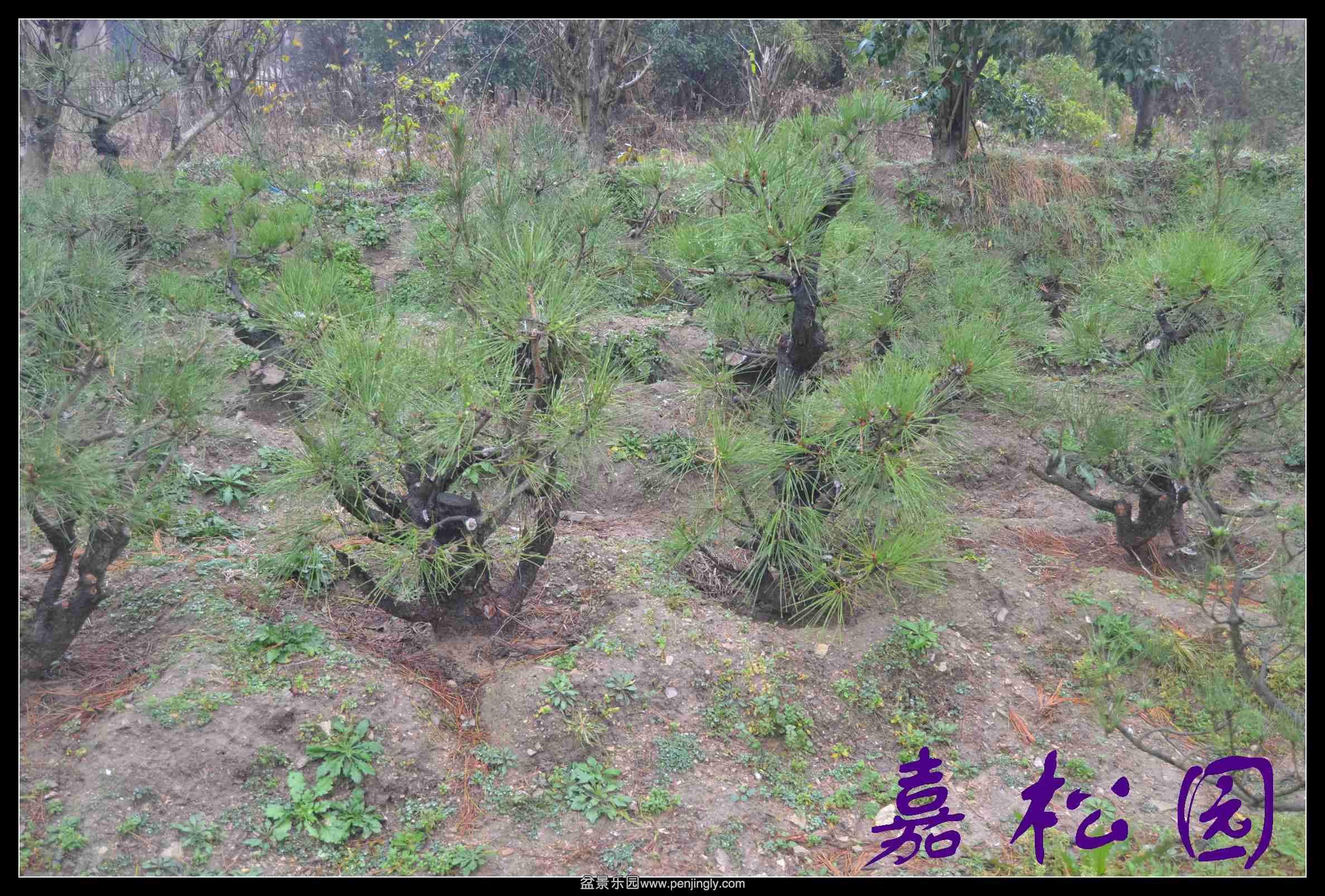 ���ͺ����辰 065.JPG