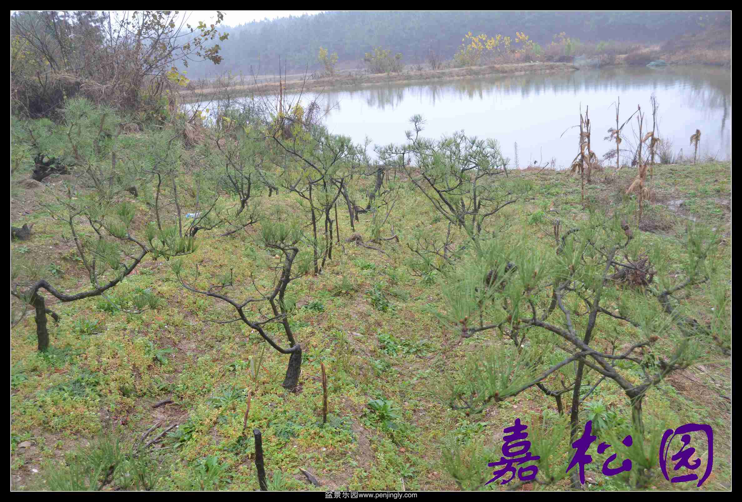 ���ͺ����辰 067.JPG