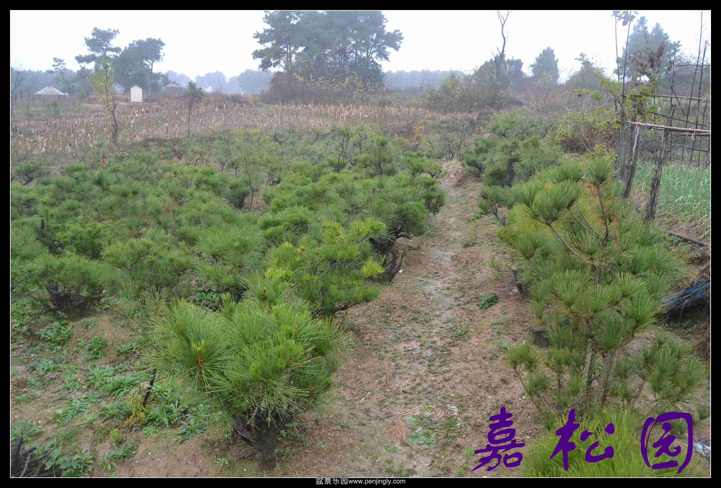 ���ͺ����辰 071.JPG