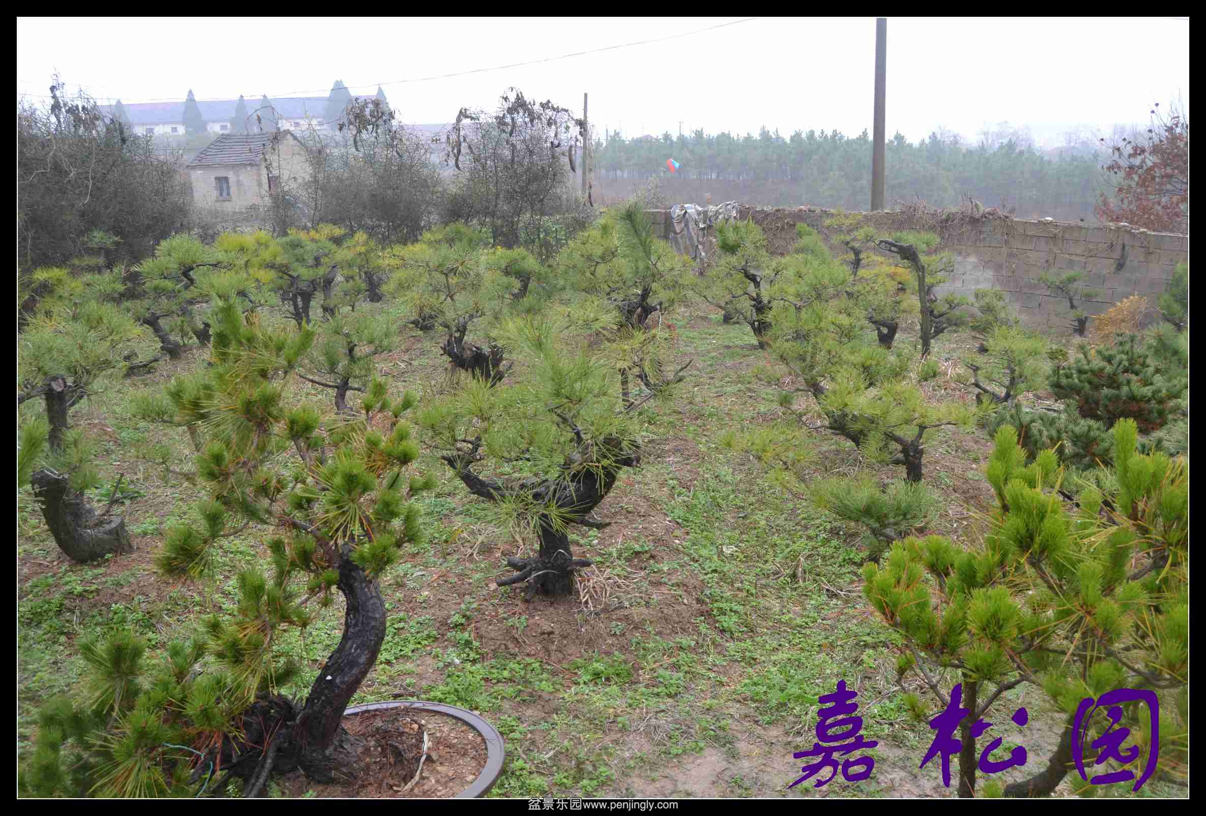 ���ͺ����辰 074.JPG