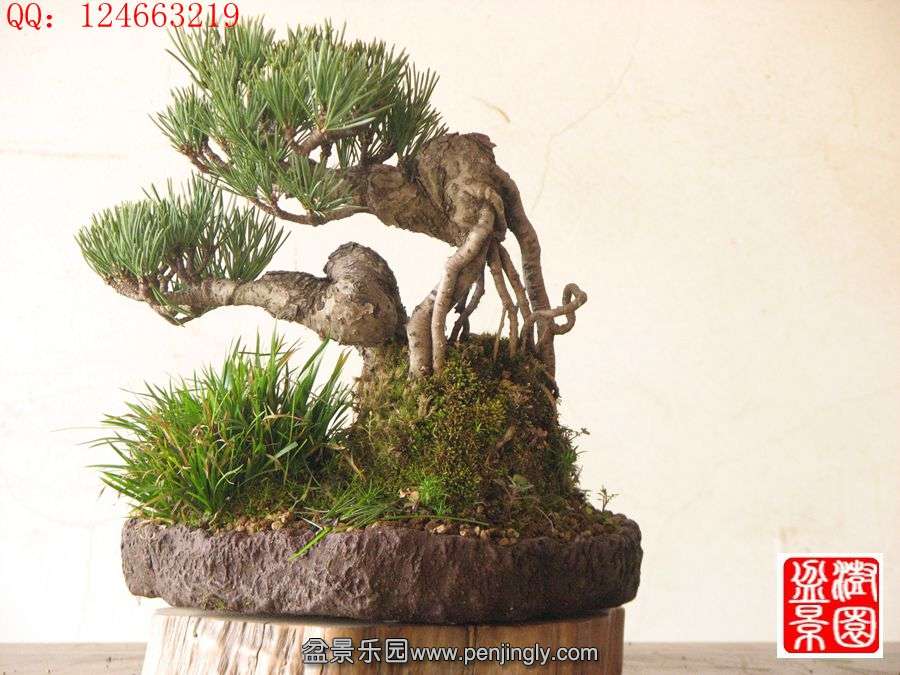 IMG_0999__.jpg