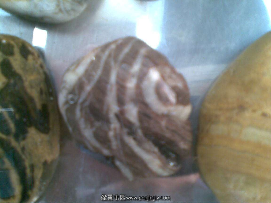 20150103(009).jpg
