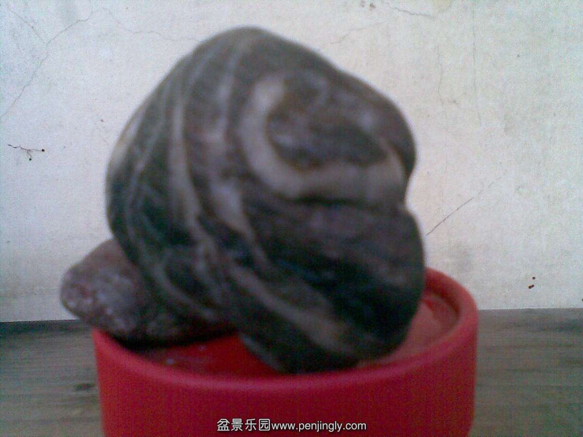 20150103(012).jpg