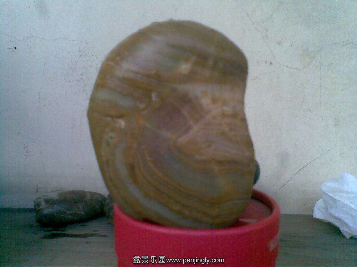 20150103(017).jpg