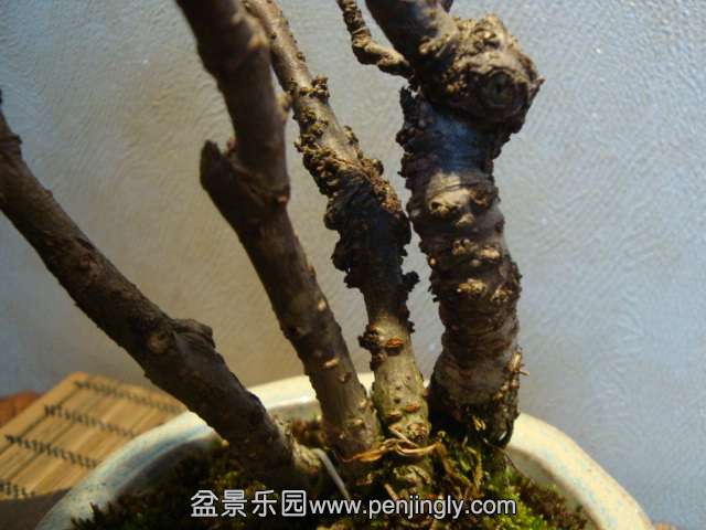 DSC09816.JPG