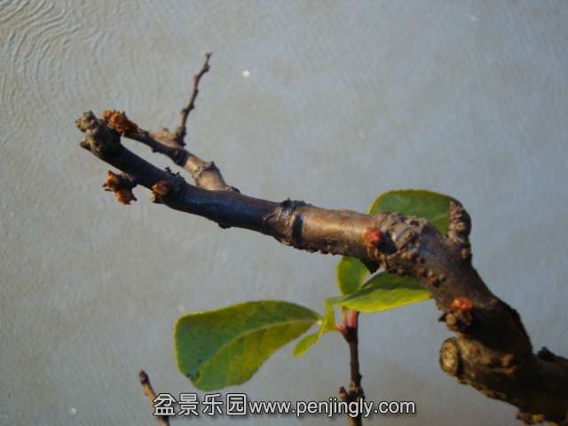 DSC09818.JPG