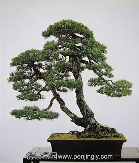 psb (1).jpg