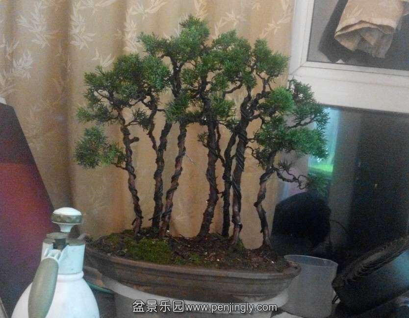 QQͼƬ20150111221118.jpg