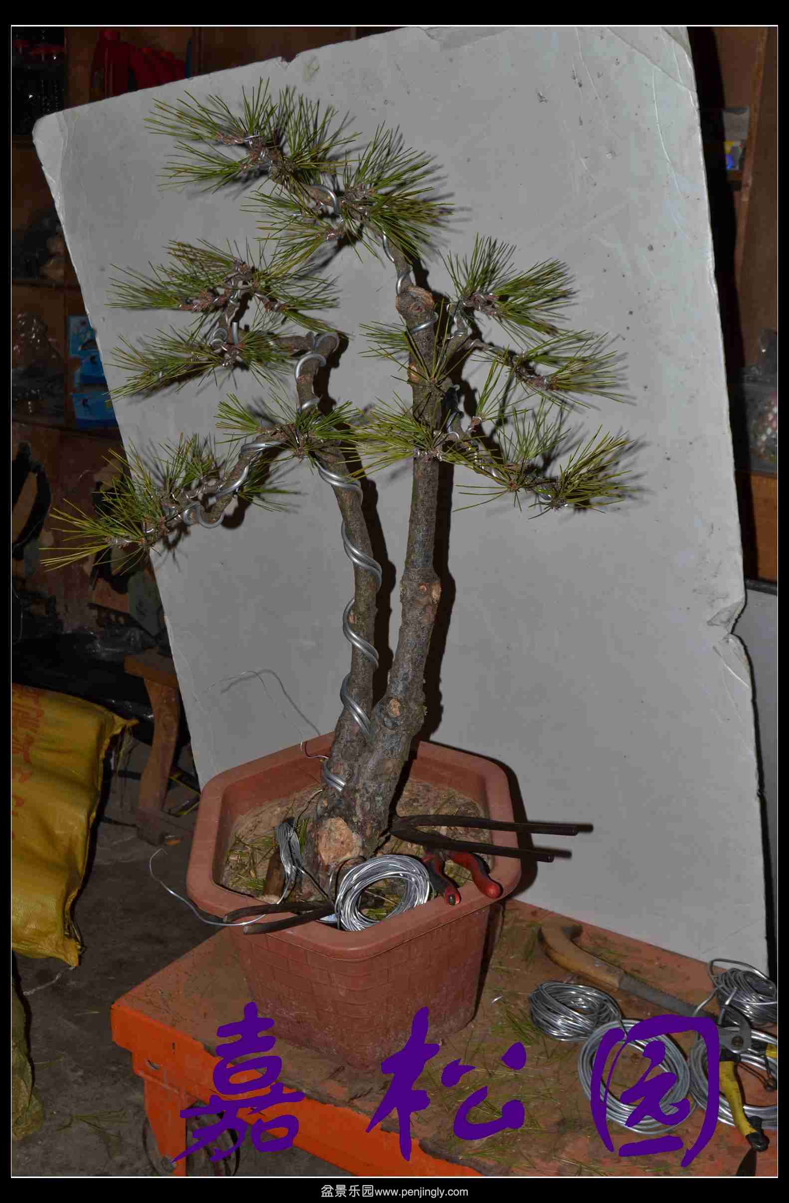 ˫�˺��� 004.JPG